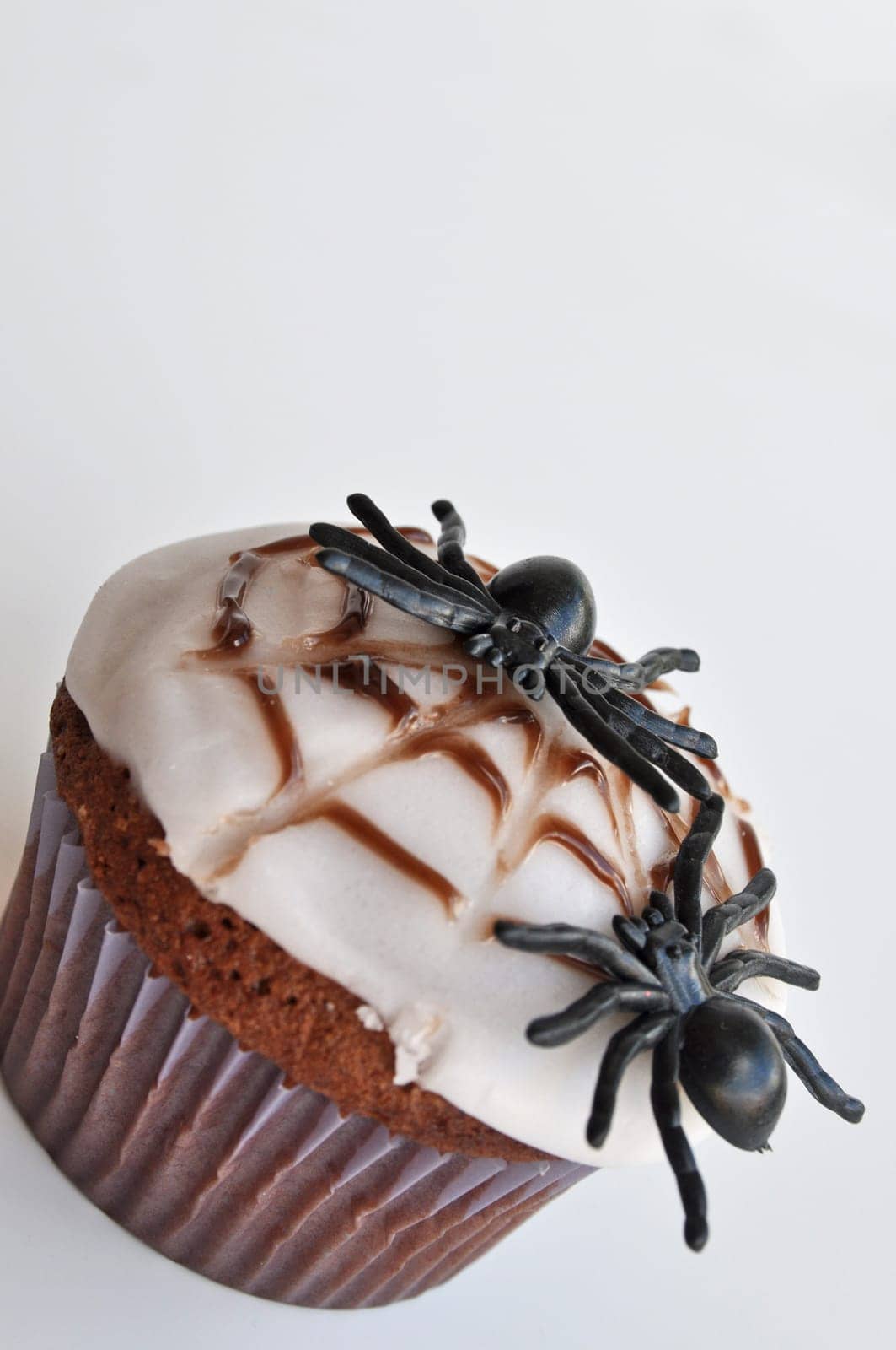 Spider Cupcakes