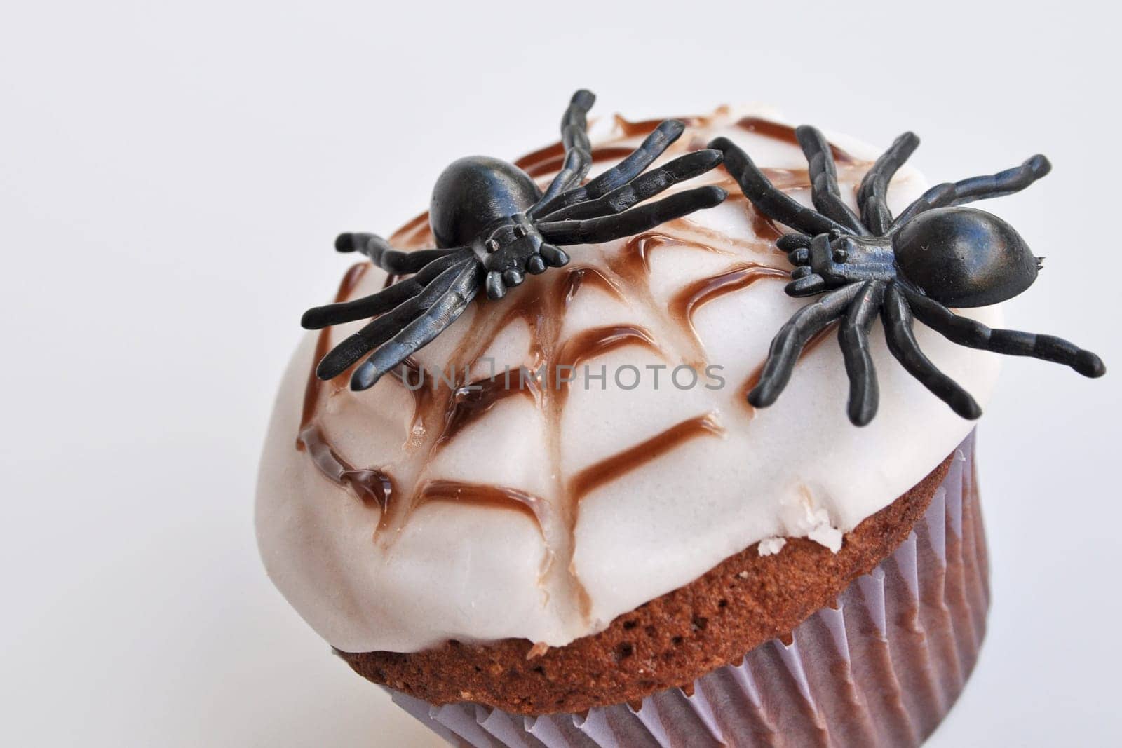 Spider Cupcakes