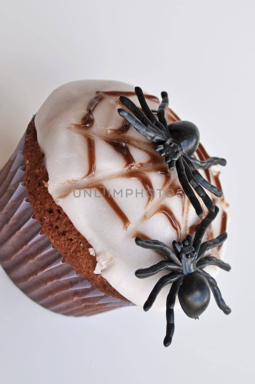 Spider Cupcakes