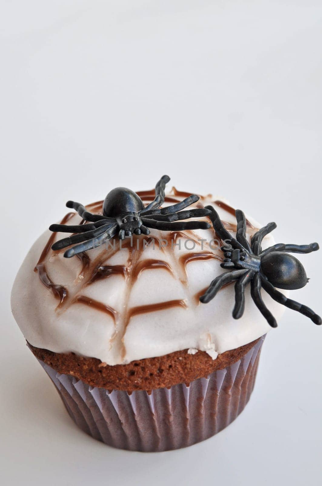 Spider Cupcakes