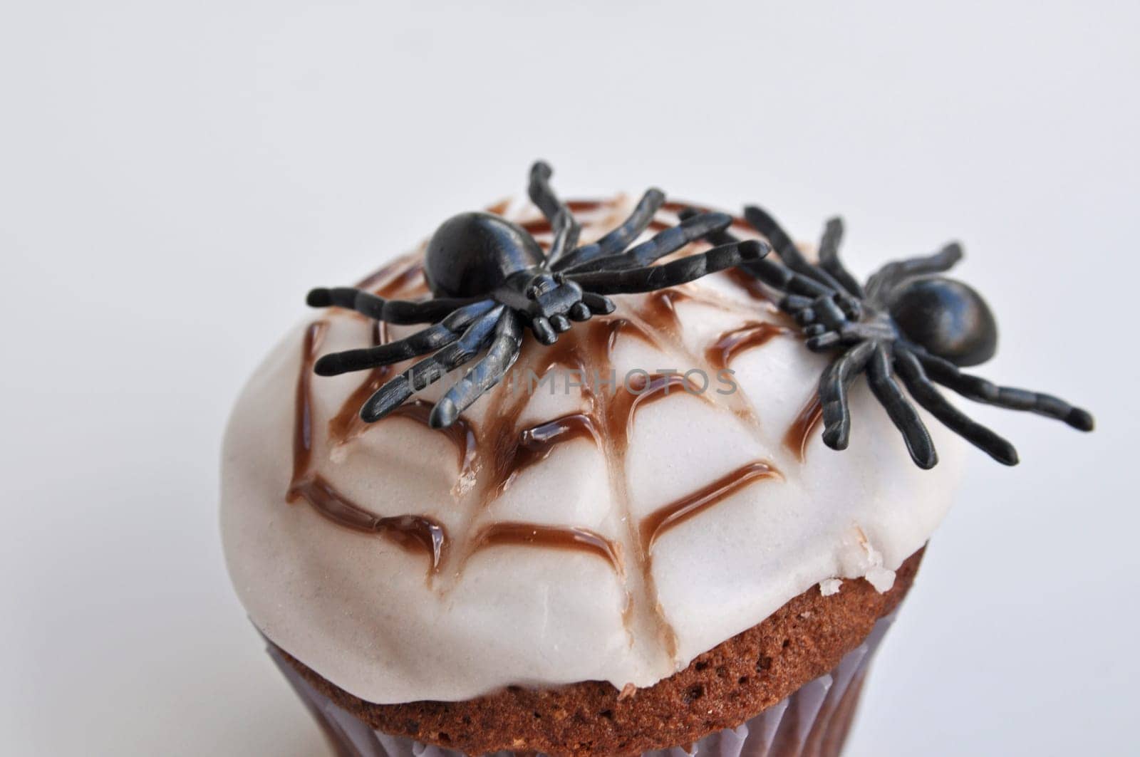 Spider Cupcakes