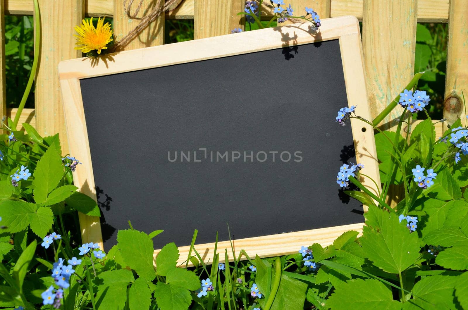 Garden fence board