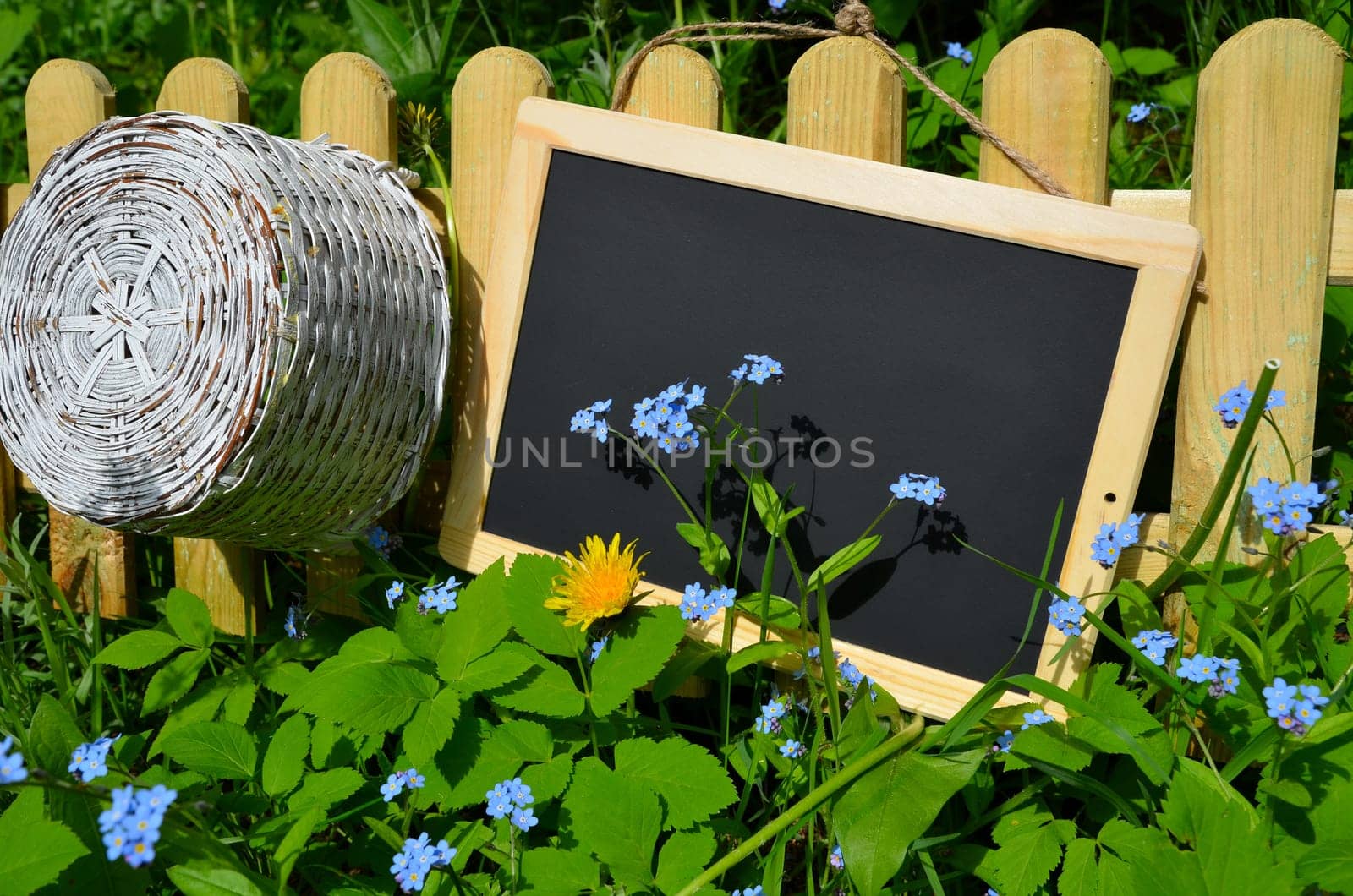 Garden fence board