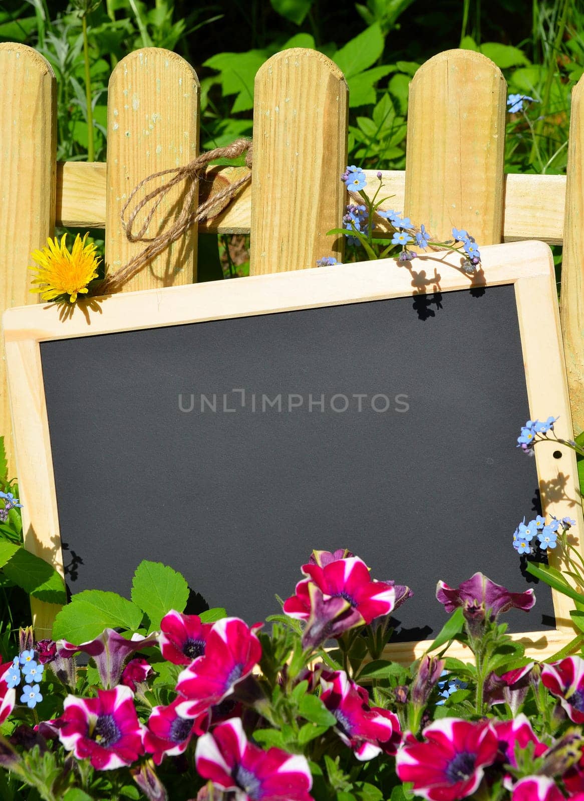 Garden fence board