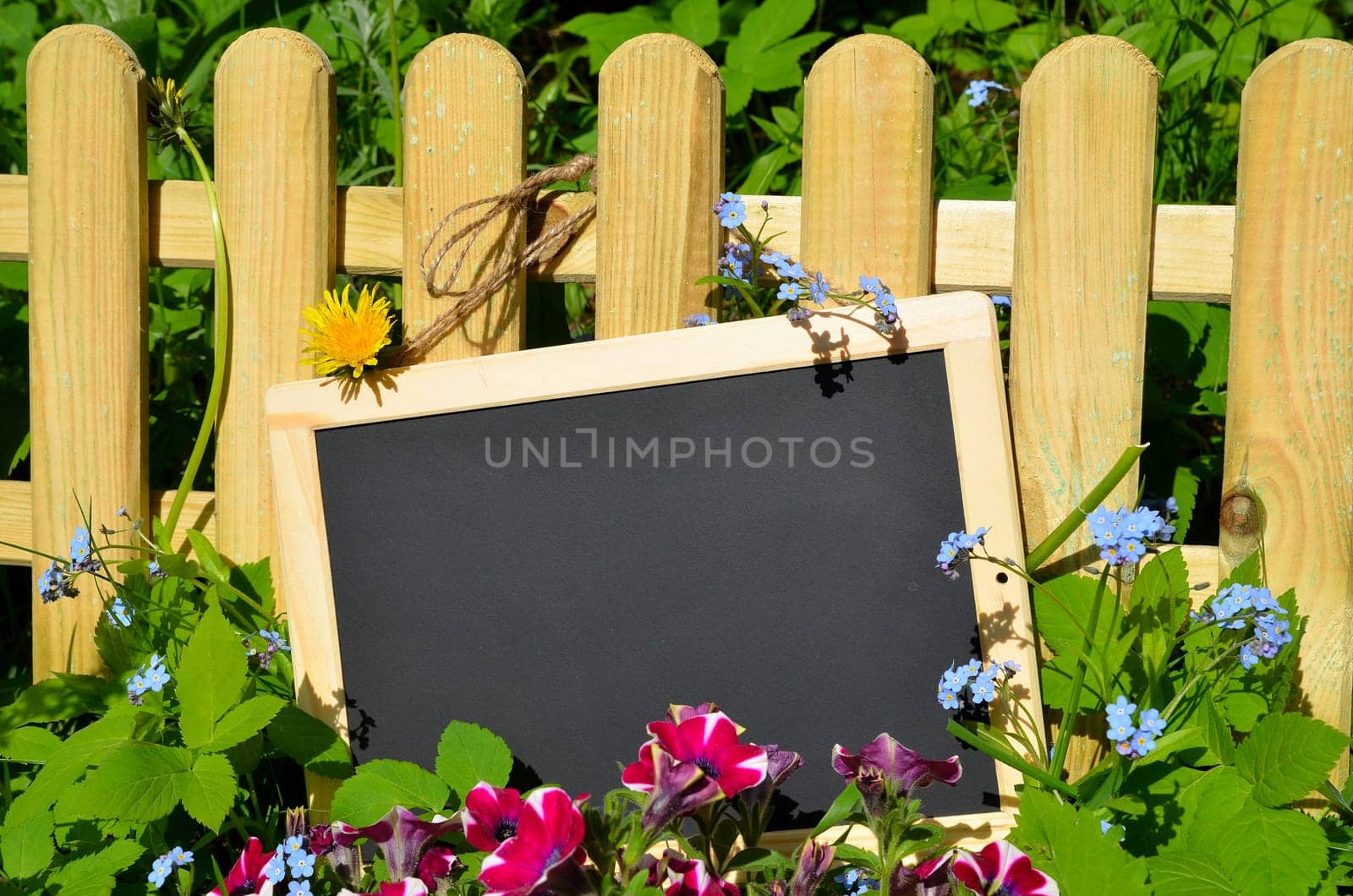Garden fence board