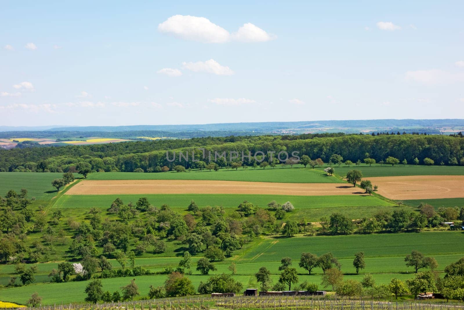 Landscape with fields and trees on a sunny day in Kraichgau, the german toscana