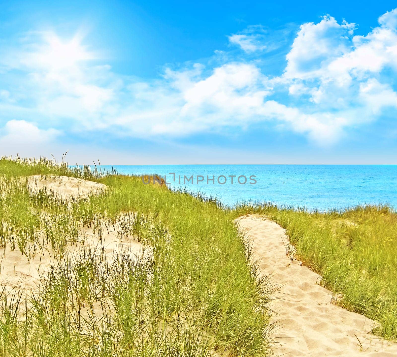 Path to the baltic sea on a sunny day