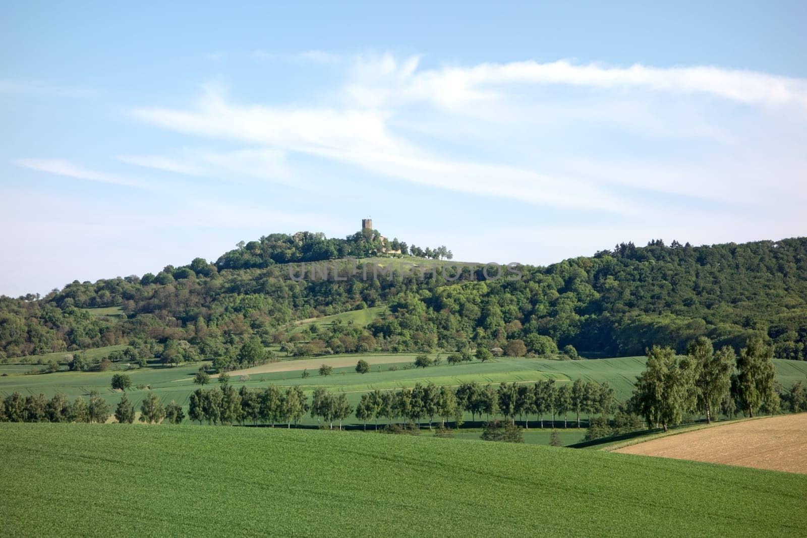 Castle Steinsberg, "The compass of the Kraichgau"", near Sinsheim, Germany"
