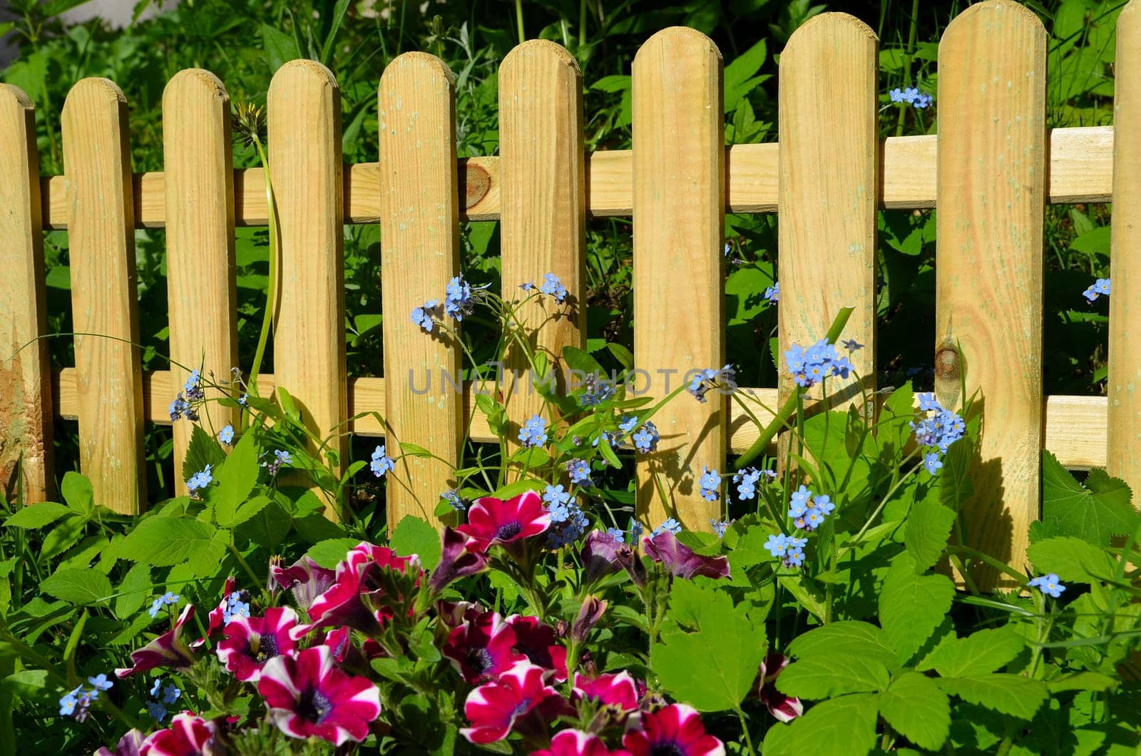 Garden fence board