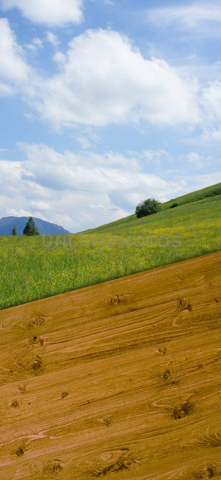 Wooden boards as text background with mountain landscape
