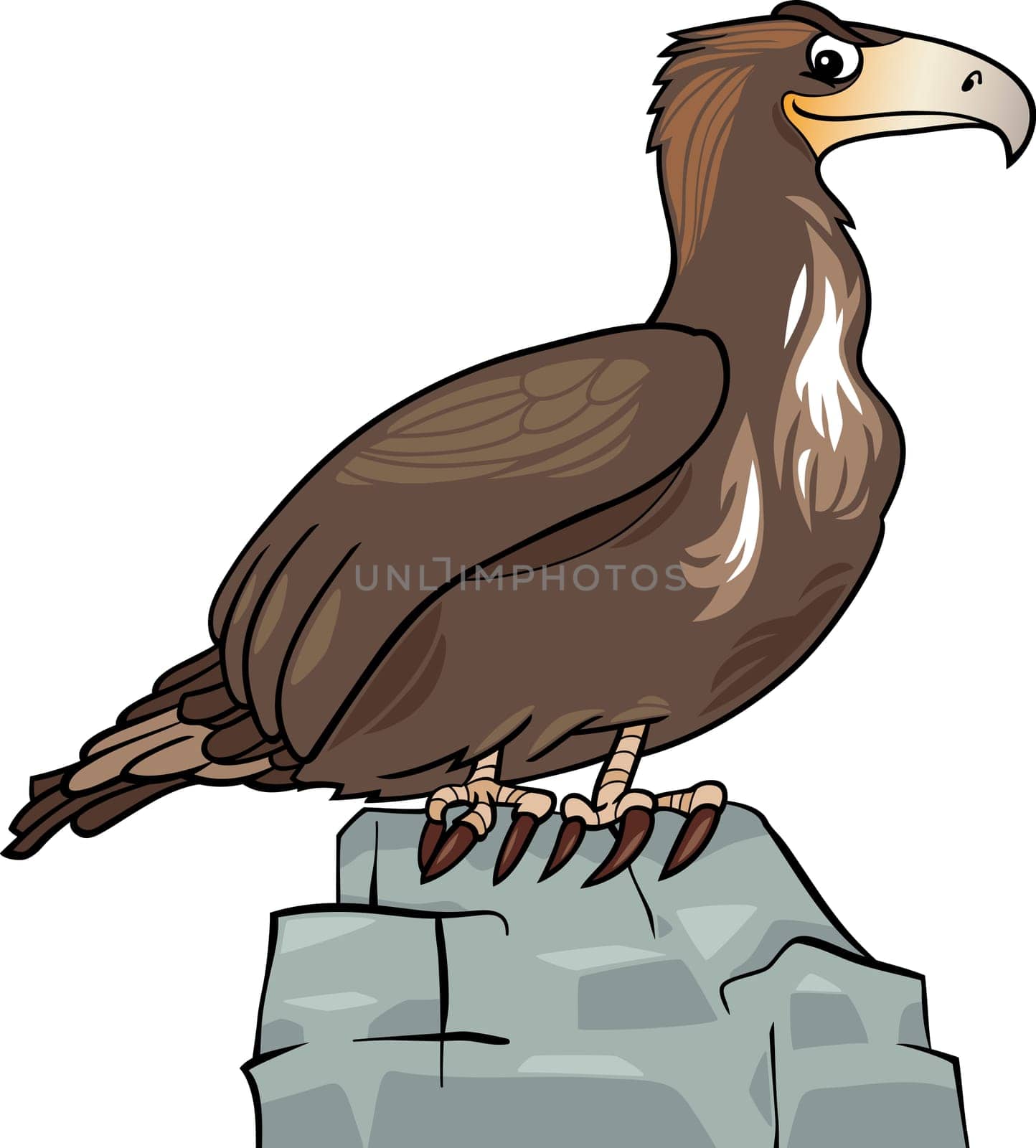 Cartoon Illustration of Eagle Wild Bird on the Rock