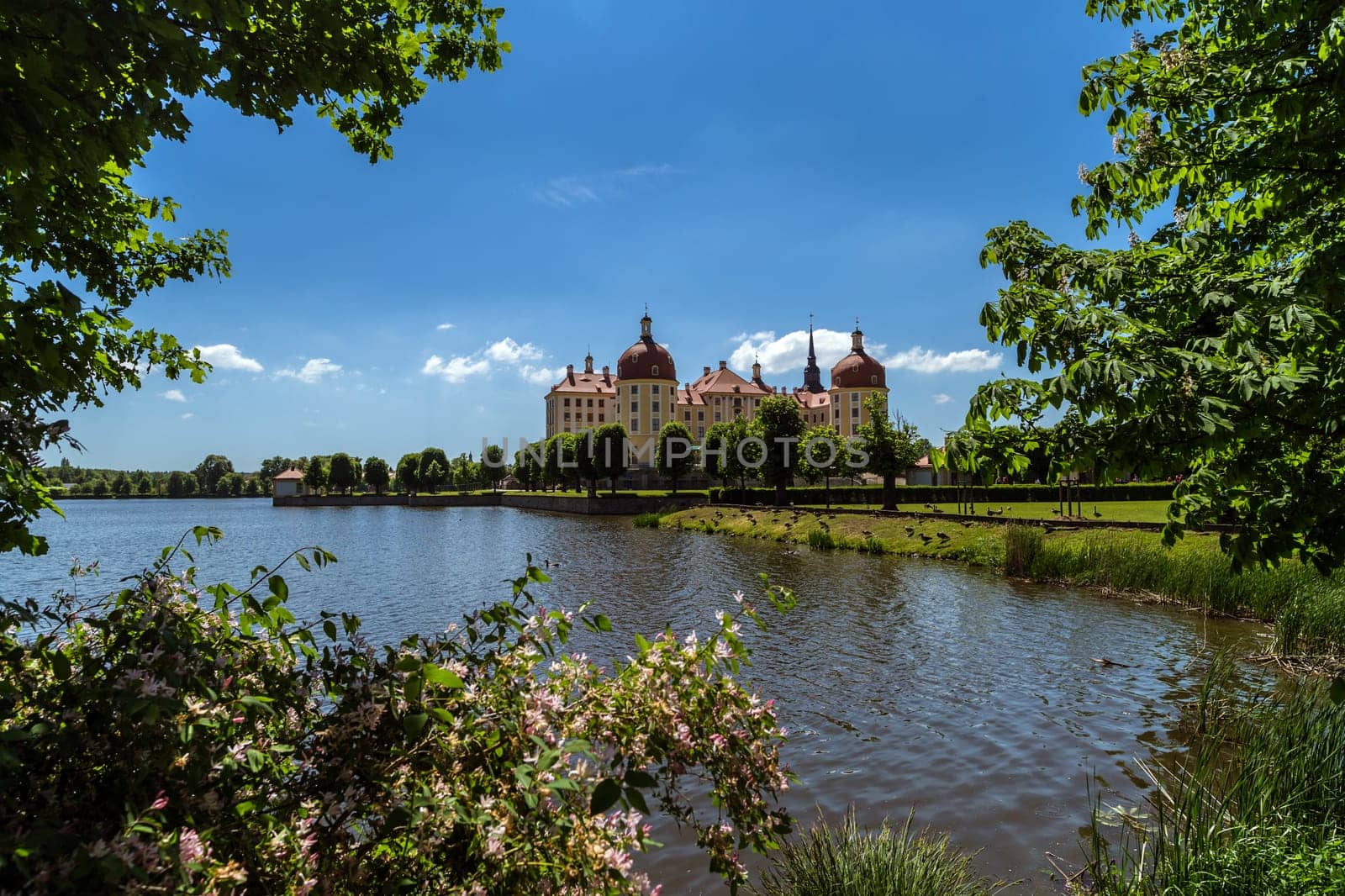 Moritzburg