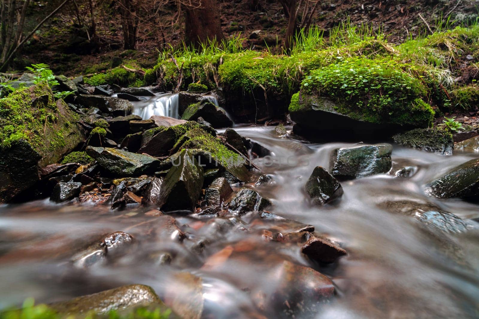 Torrent