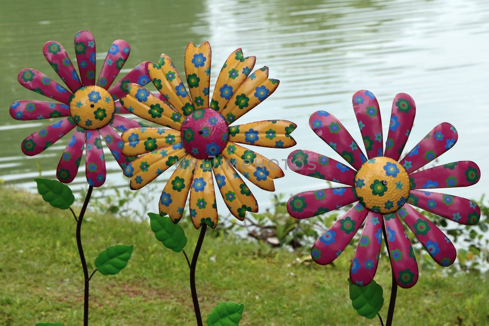 Flower trio at the lake