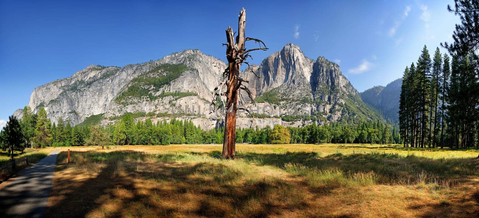 Yosemite National Park in California,USA