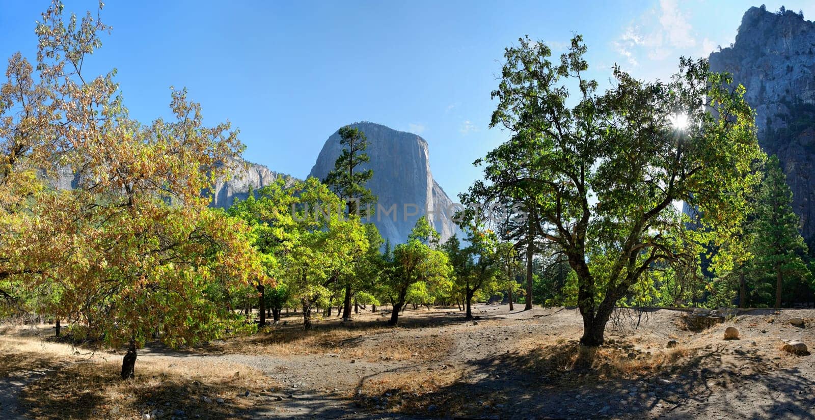 Yosemite National Park in California,USA