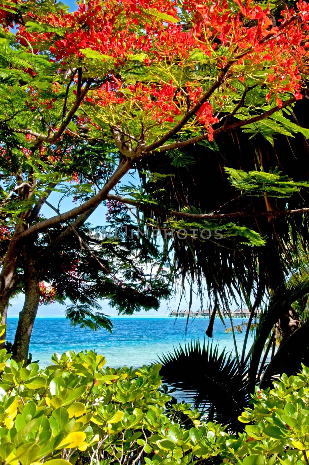 Durchblick ins Paradies