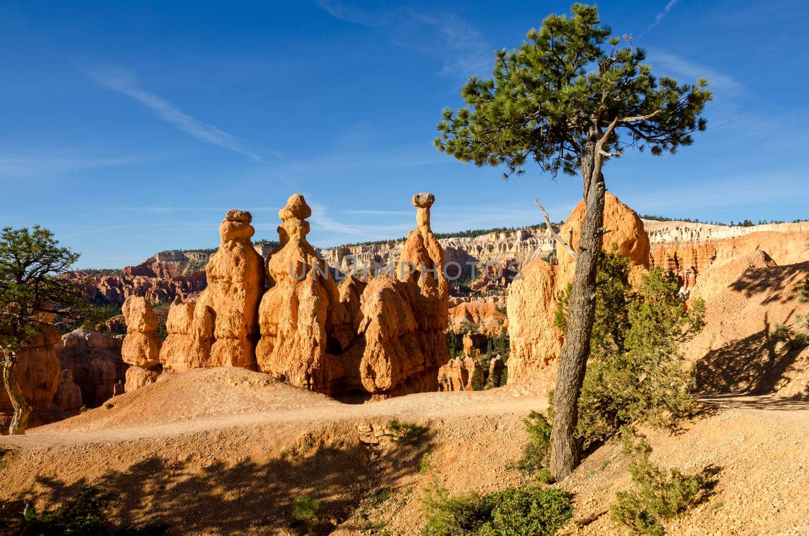 Bryce Canyon National Park in Utah