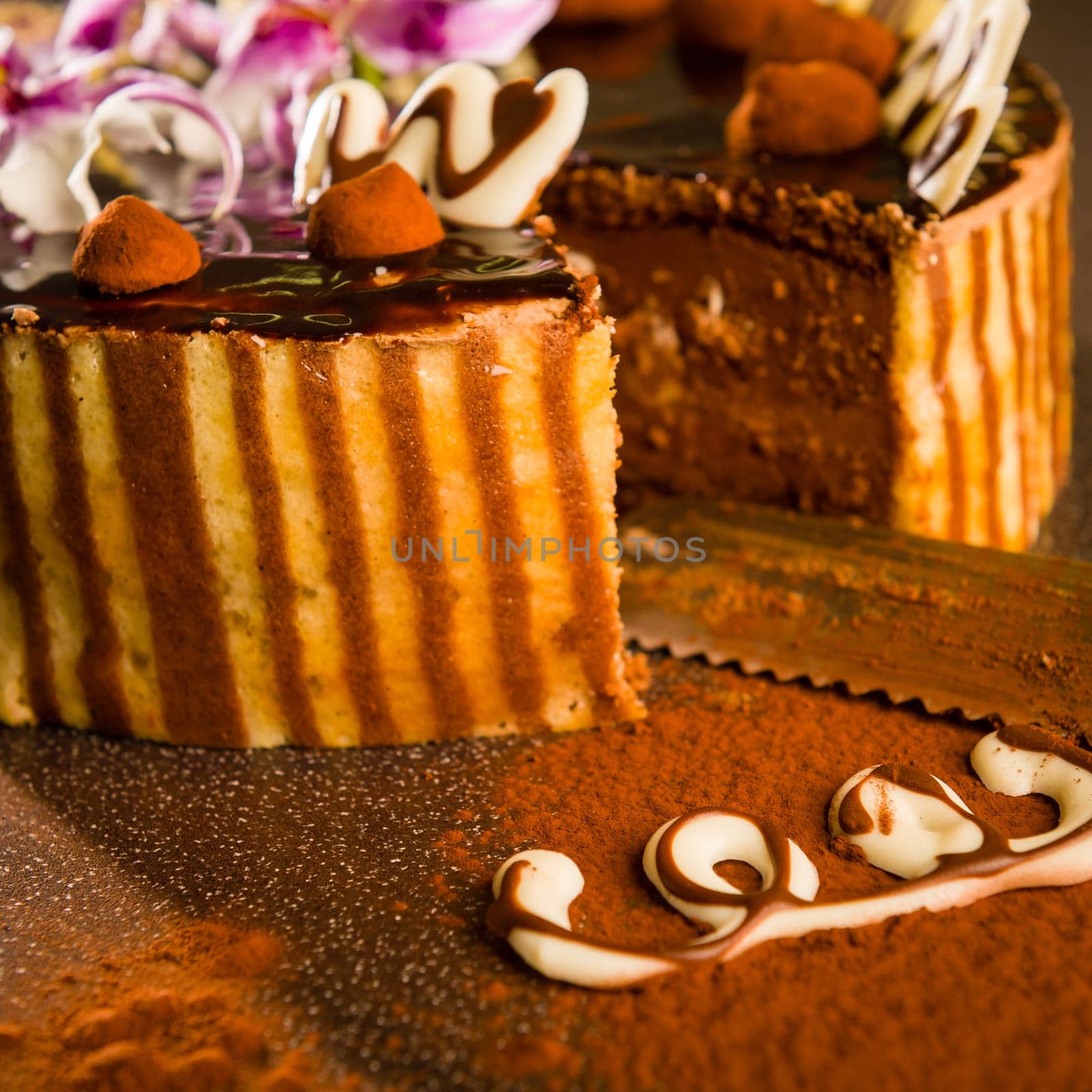 Layered chocolate cake and knife with cocoa powder