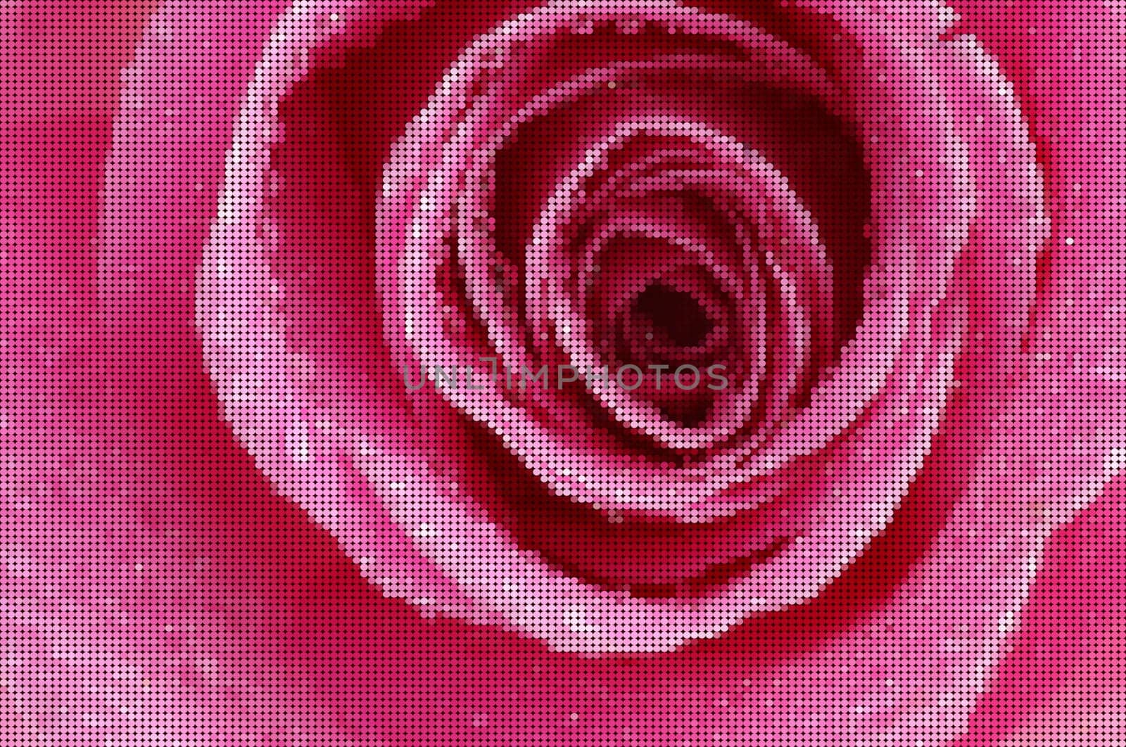 rose mosaic