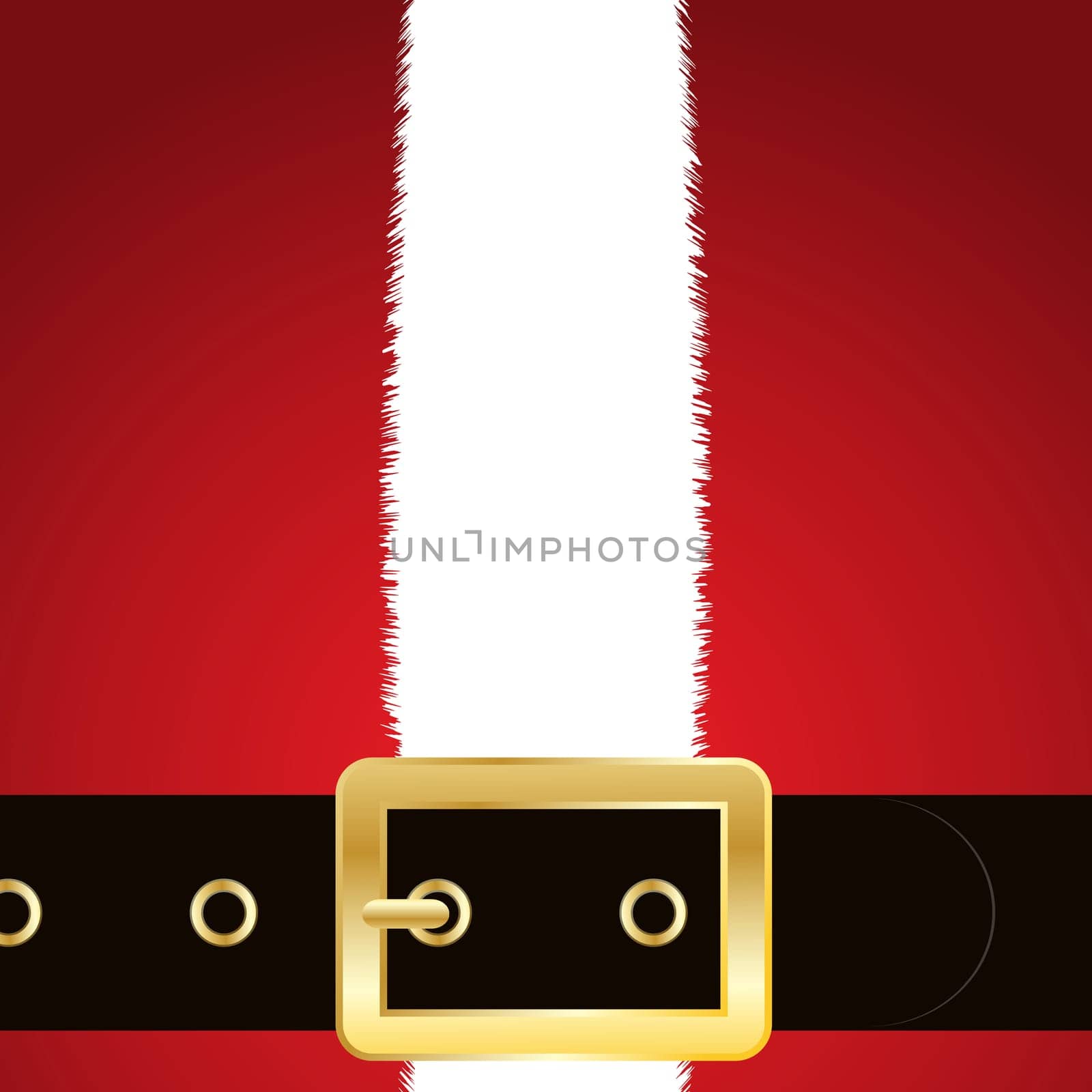 Santas coat and belt