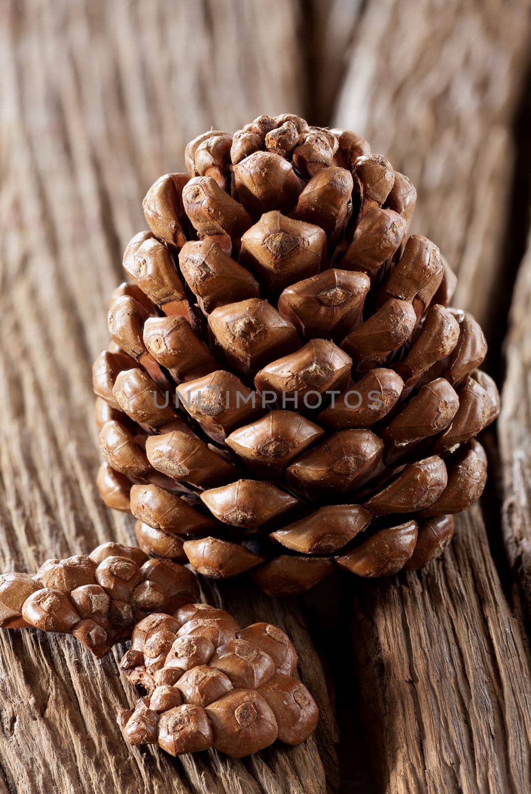 Opened pine cone on a rustic wooden plate