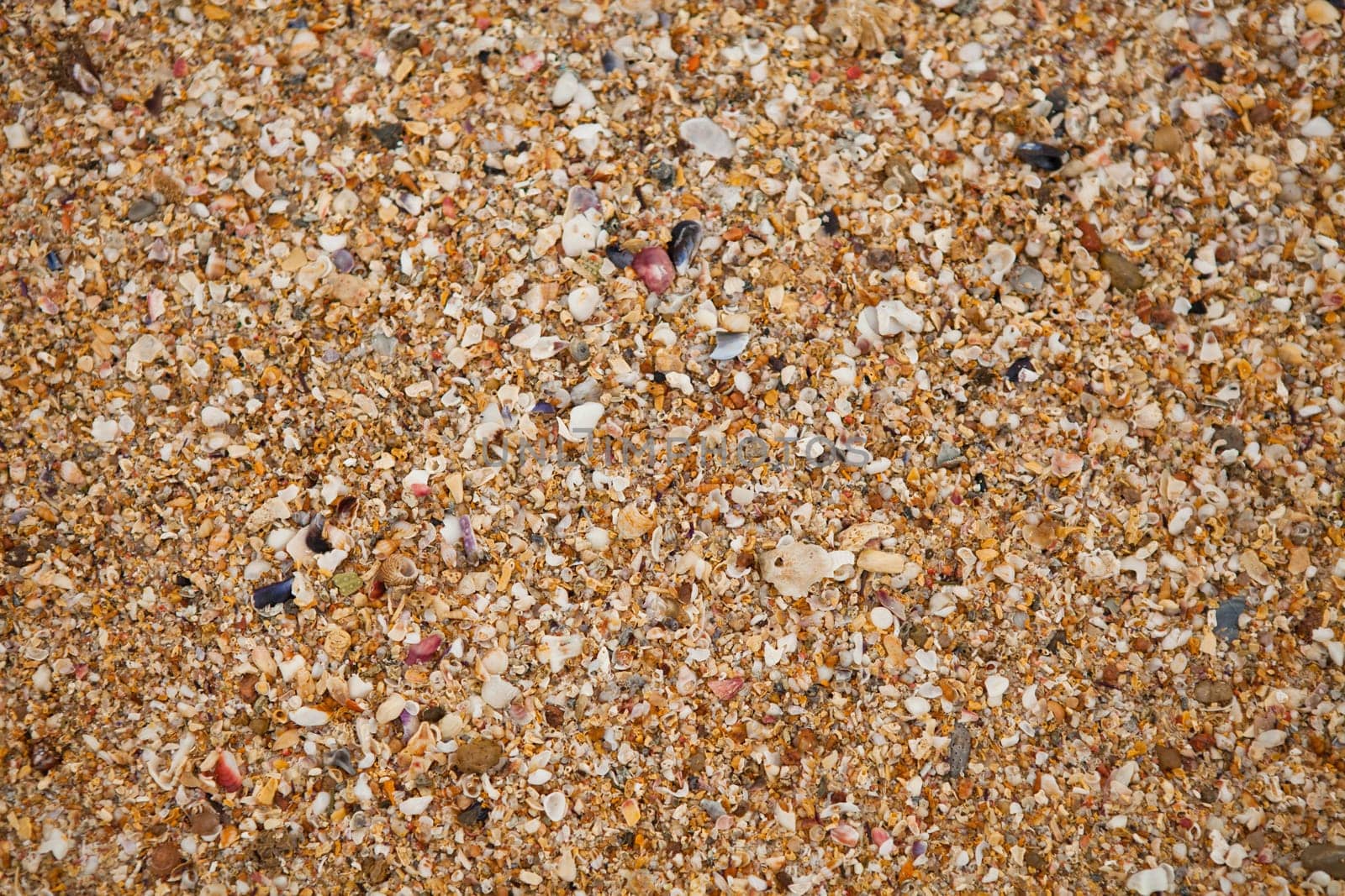 Background texture of closeup of sand and small shells on beach