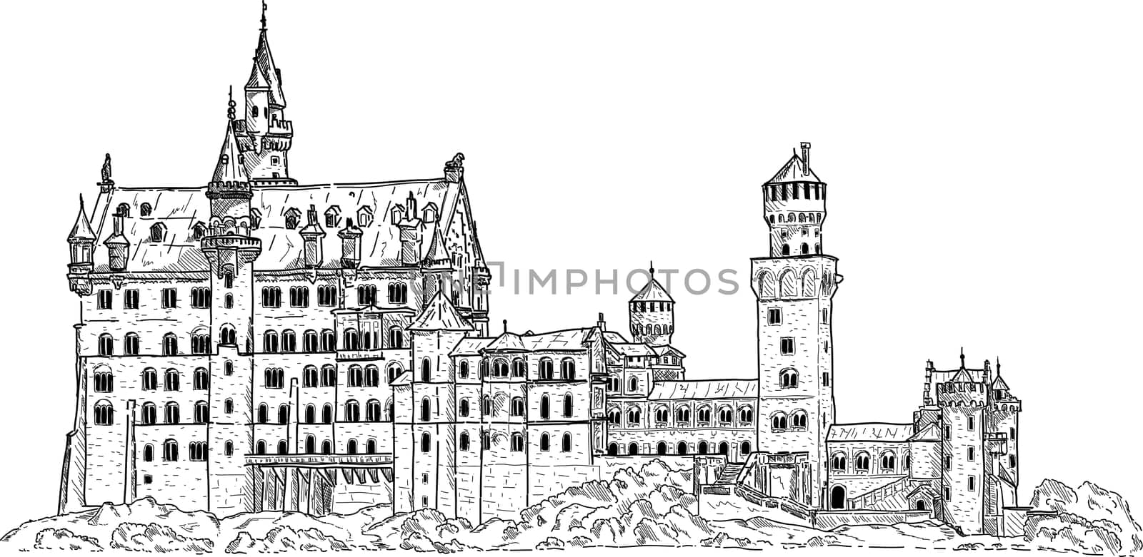 vector - Neuschwanstein Castle in Germany isolated on background