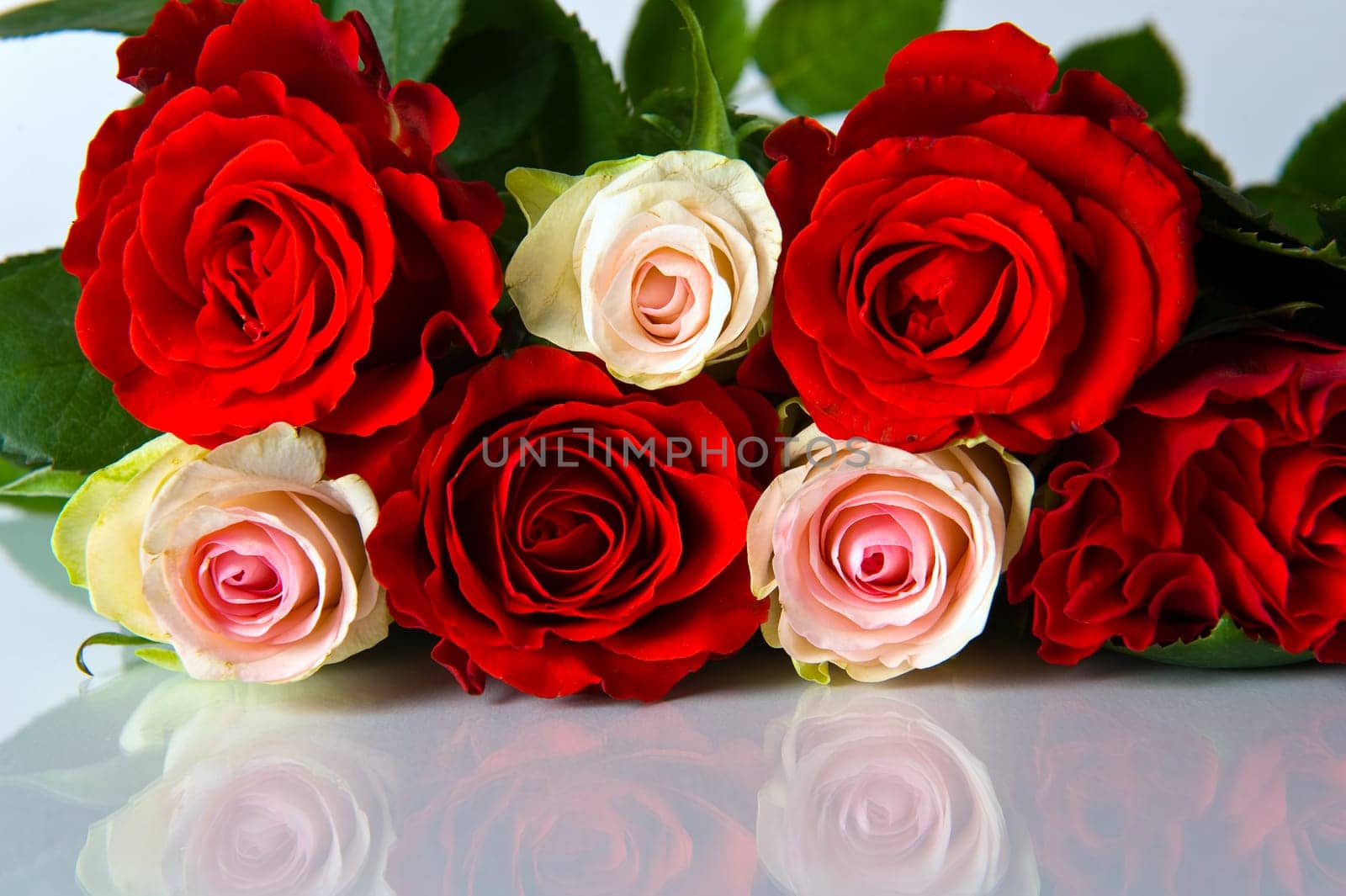 Roses