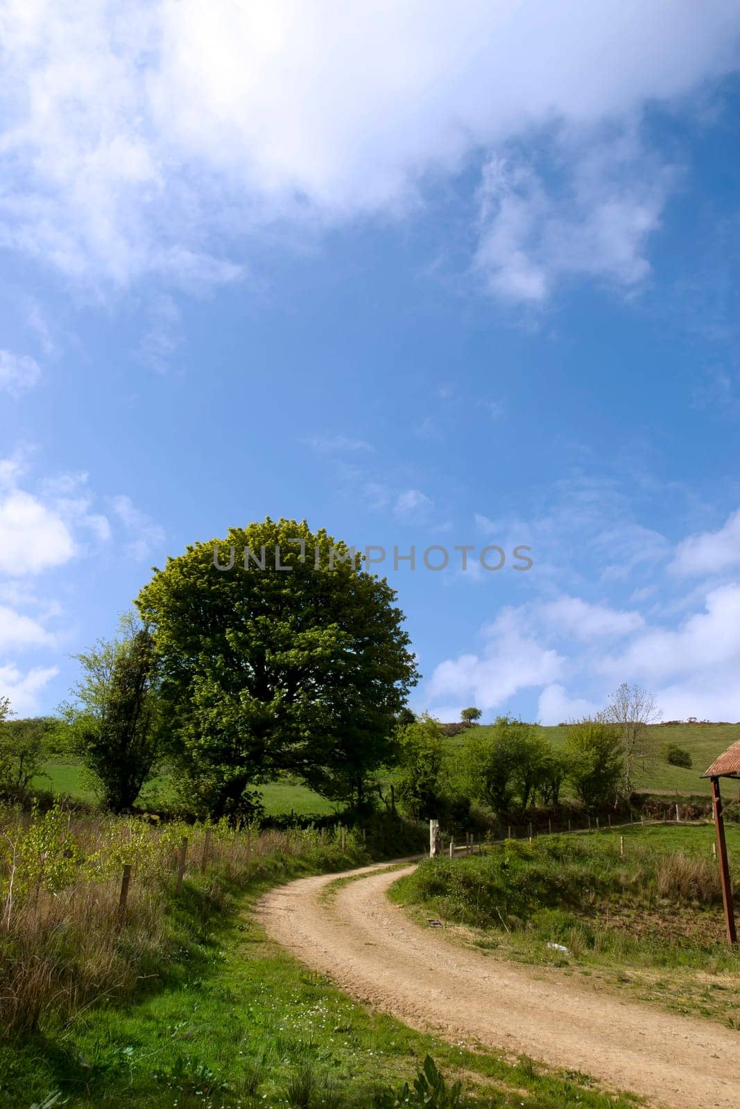 winding dirt road on lush irish countryside landscape in glenough county tipperary ireland