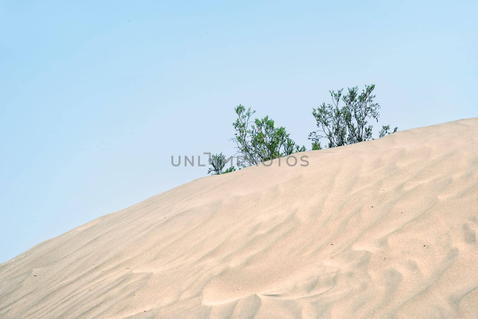 Death Valley,California,USA