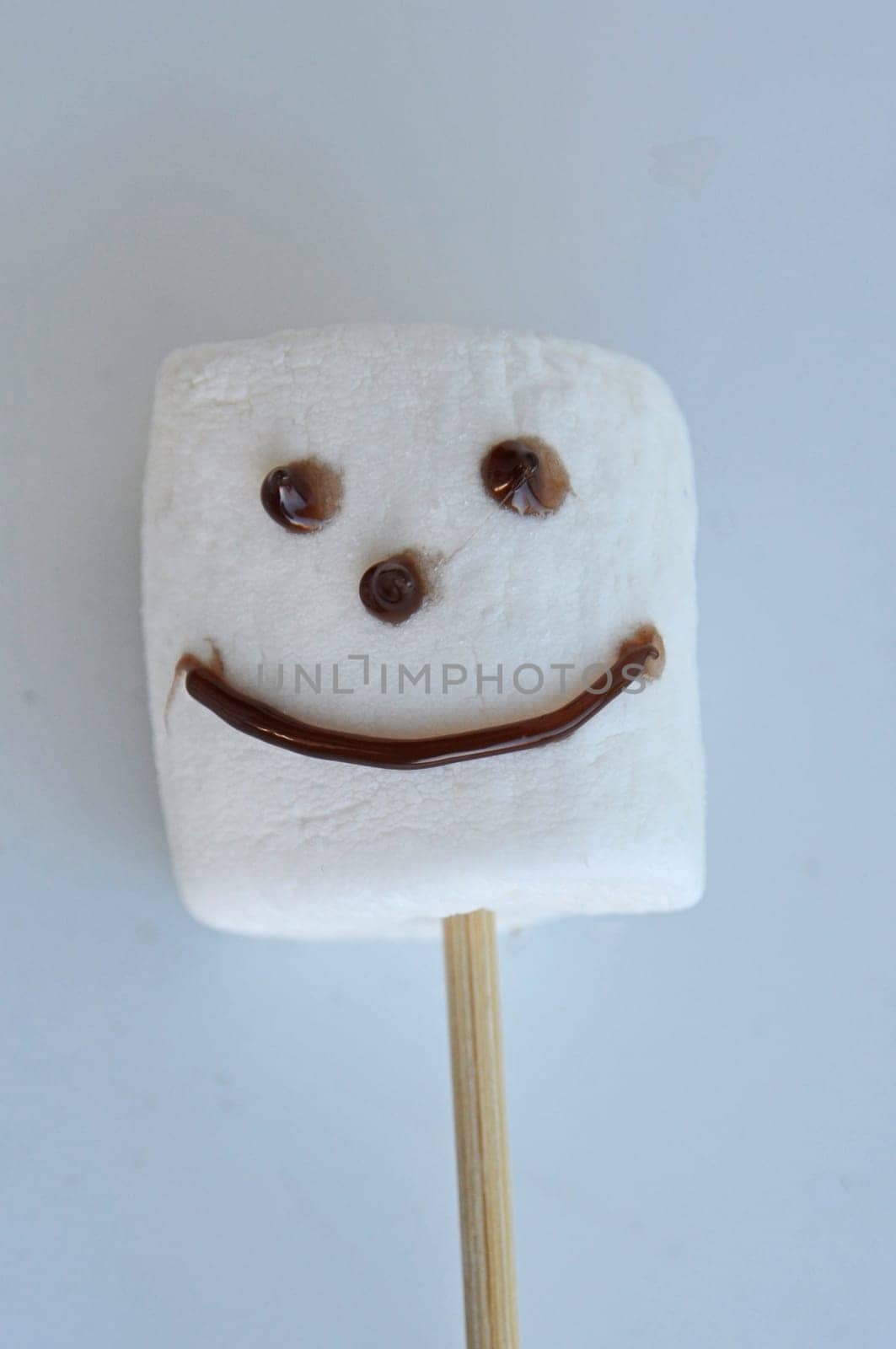 Marshmallow skewers