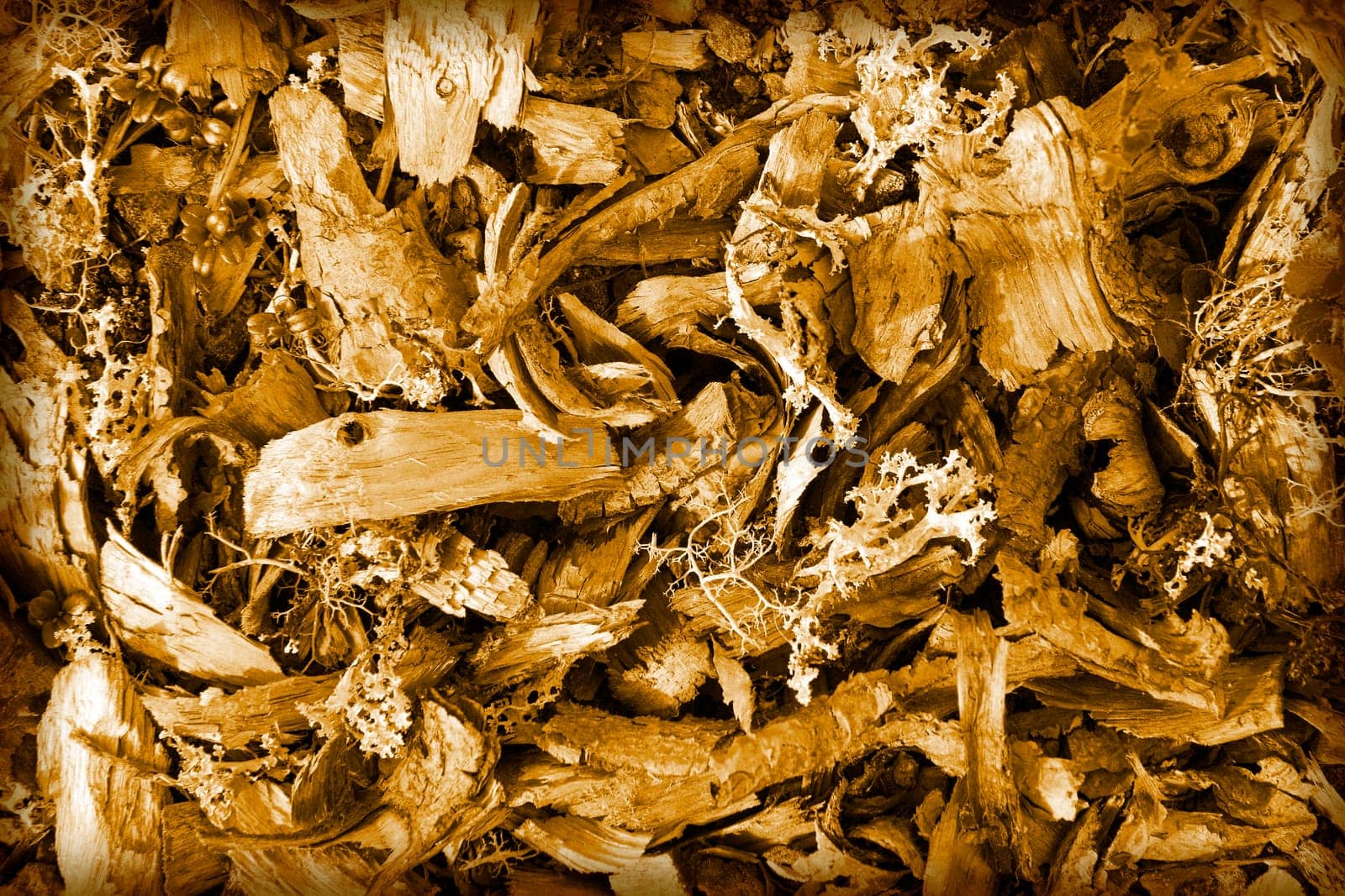 Brown background from shavings and tree pieces