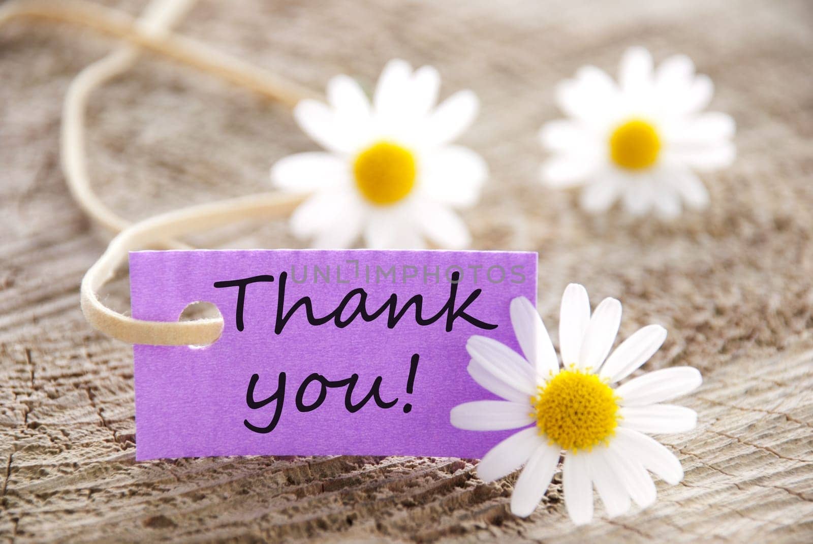 a purple label with Thank you on it and flowers in the background