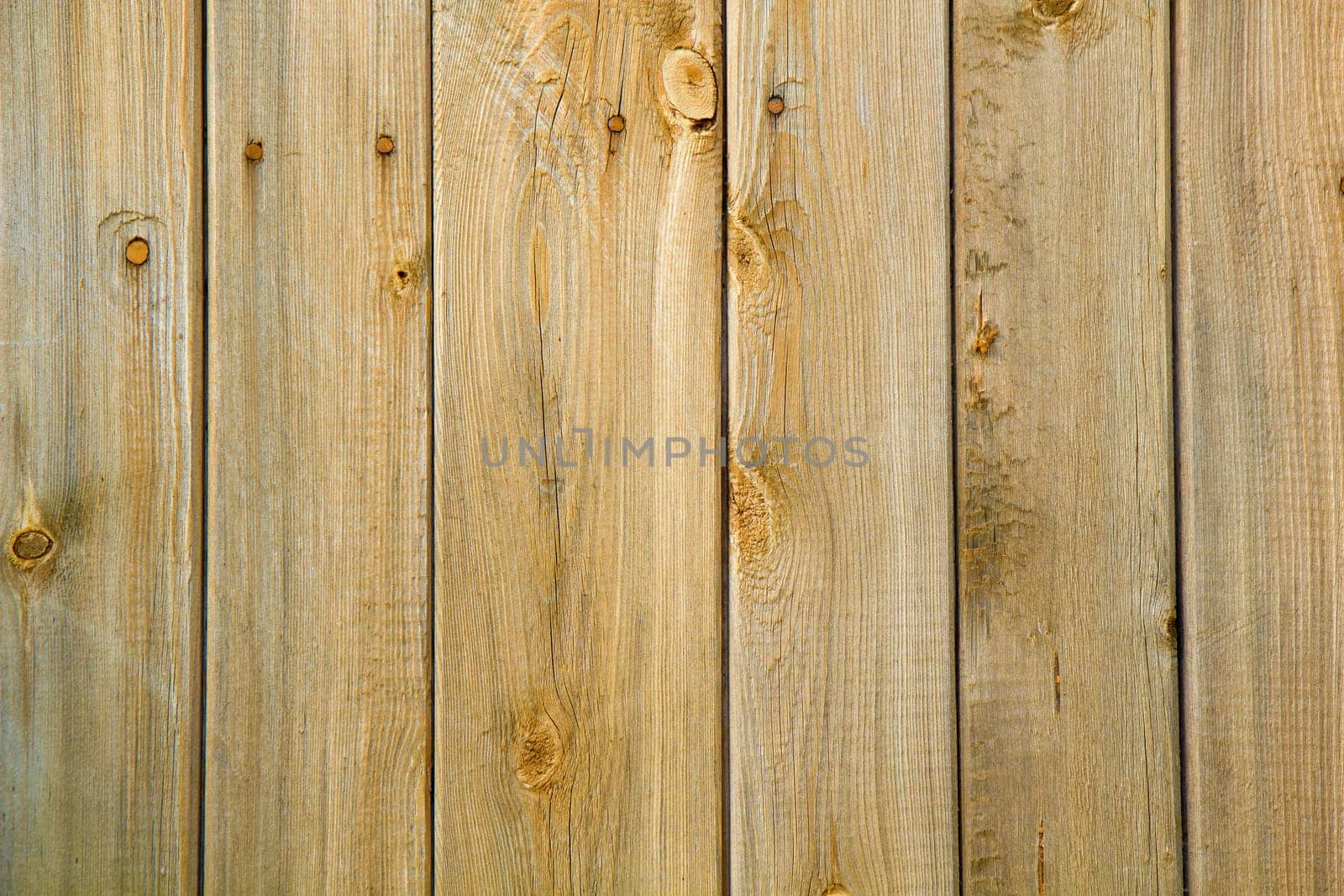 wall of the yellow wood of the old boards with nails