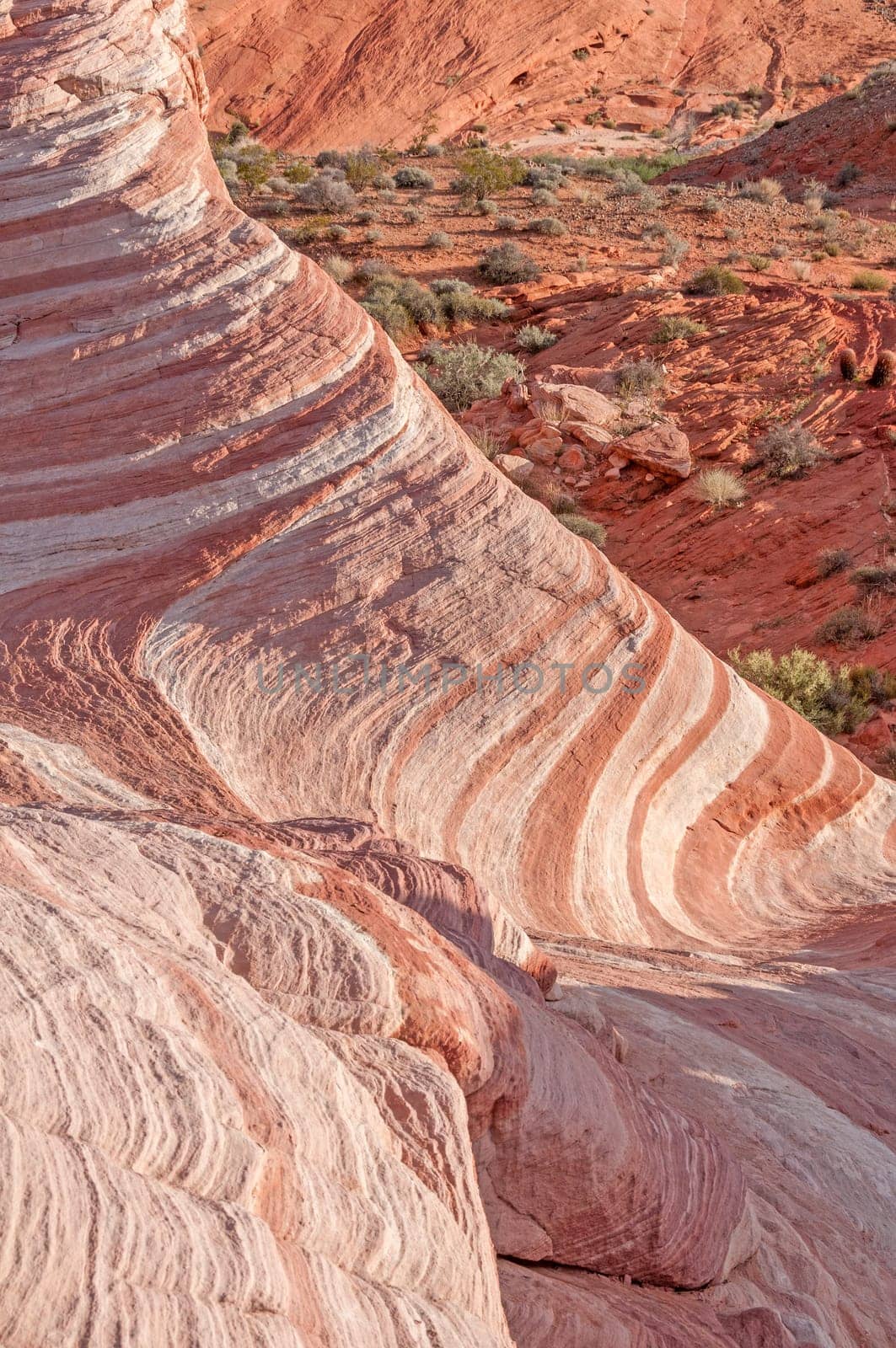 Fire Wave in the Valley of Fire