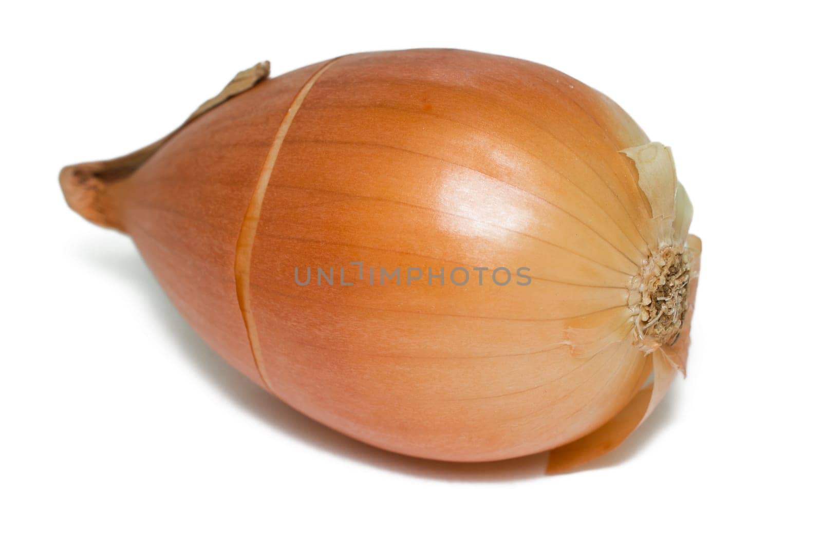 Onions on an isolated white background