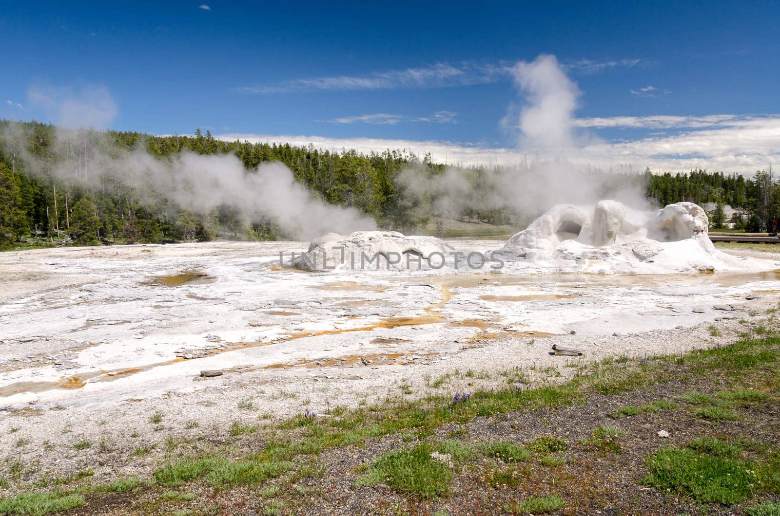 geyser in Yellowstone National Park in Wyoming