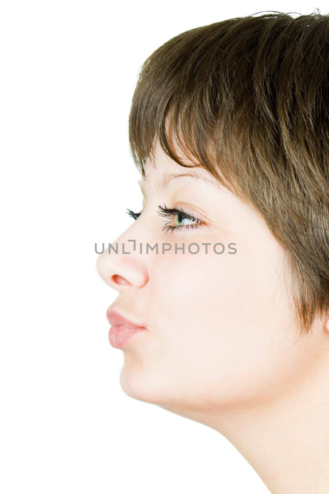 portrait kissing girls isolated on white background. Profile