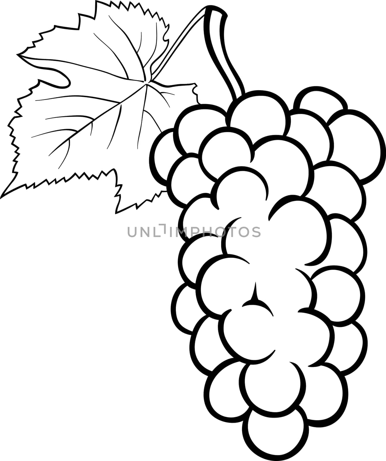 Black and White Cartoon Illustration of Bunch of Grapes or Grapevine Fruit Food Object for Coloring Book