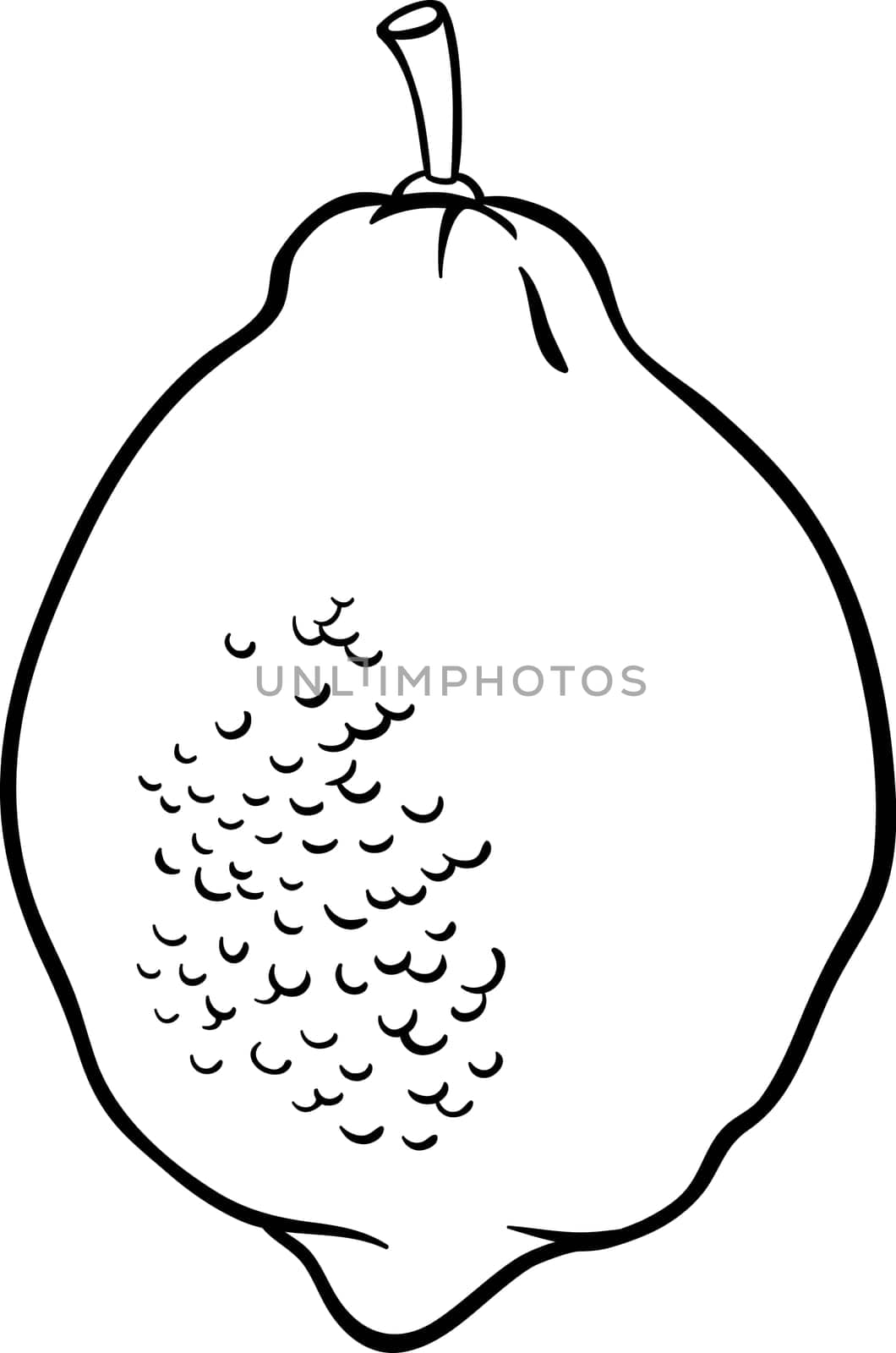 Black and White Cartoon Illustration of Lemon Citrus Fruit Food Object for Coloring Book