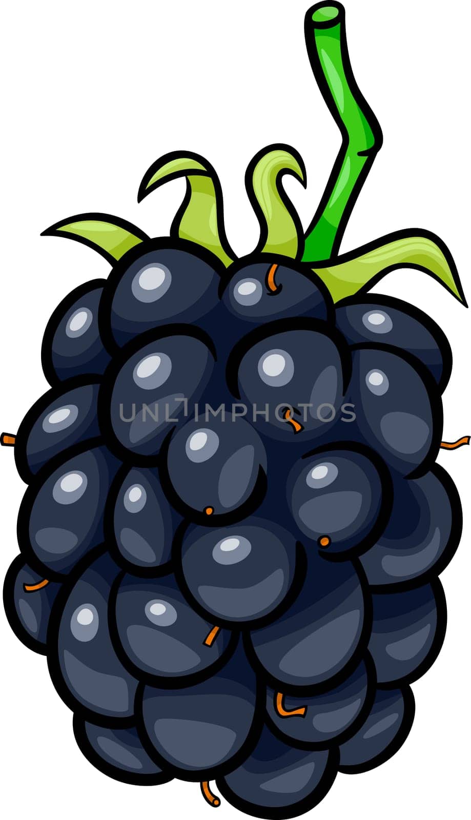 Cartoon Illustration of Blackberry Berry Fruit Food Object