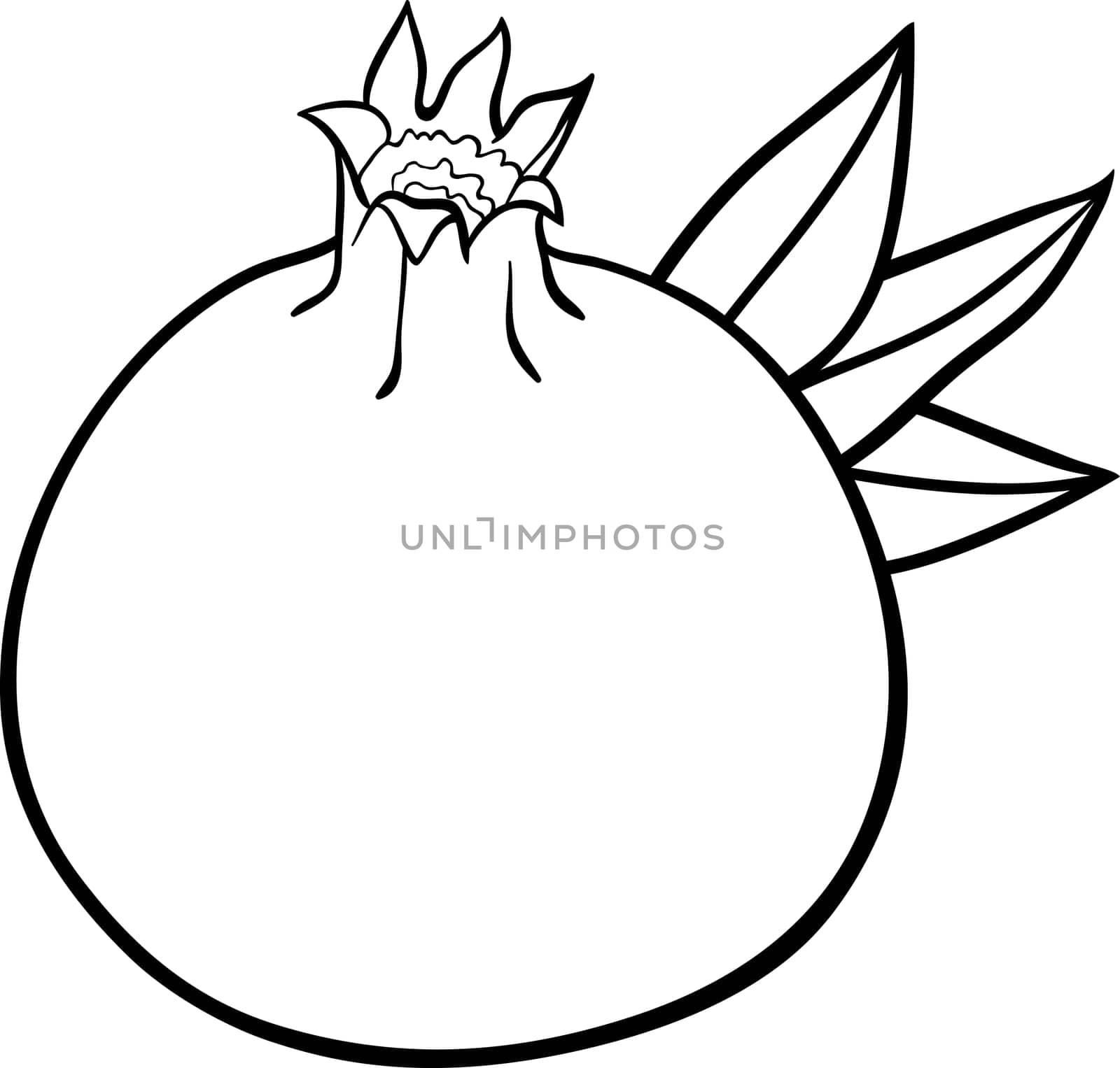 Black and White Cartoon Illustration of Pomegranate Fruit Food Object for Coloring Book