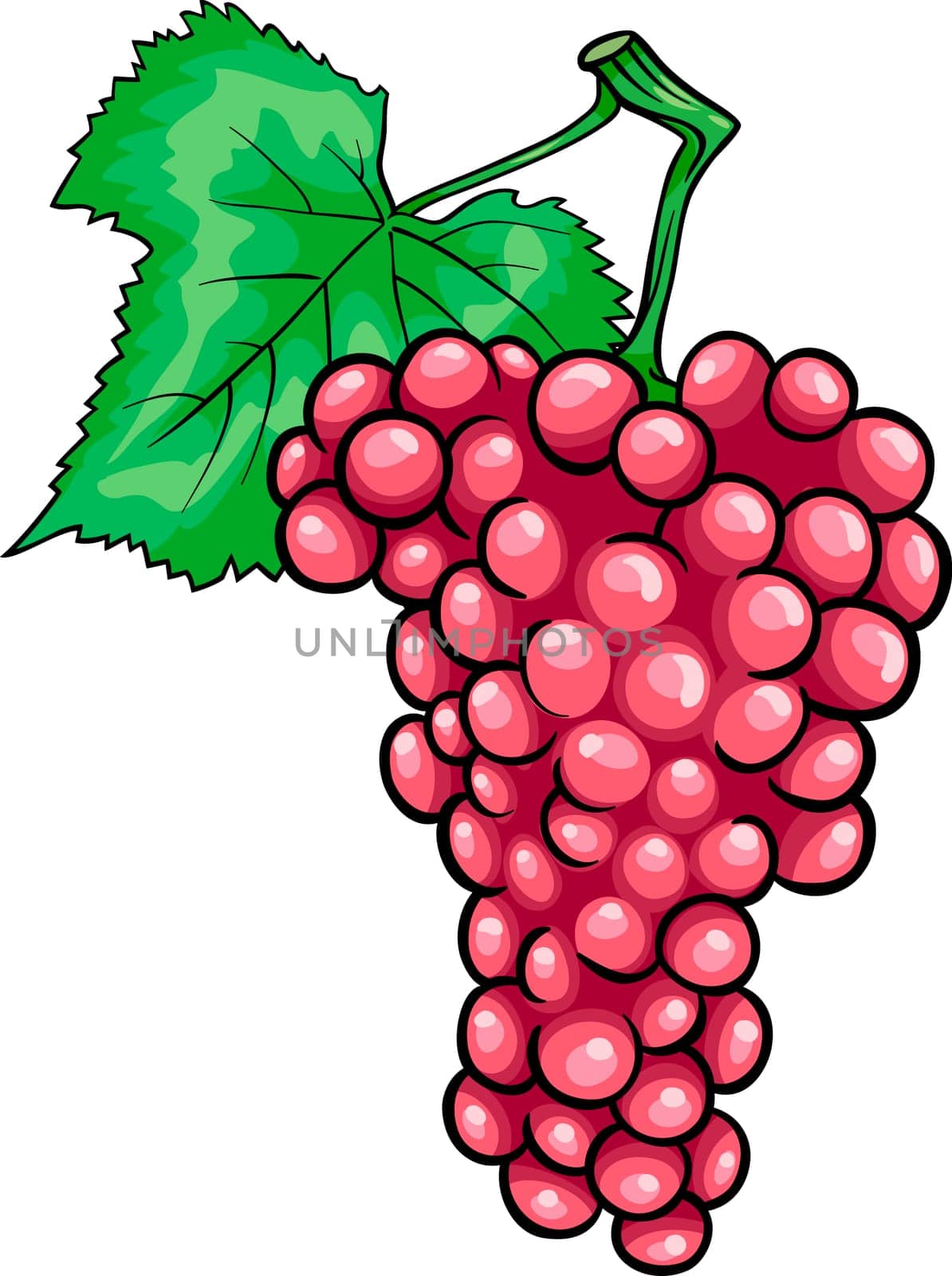 Cartoon Illustration of Bunch of Red or Pink Grapes or Grapevine Fruit Food Object
