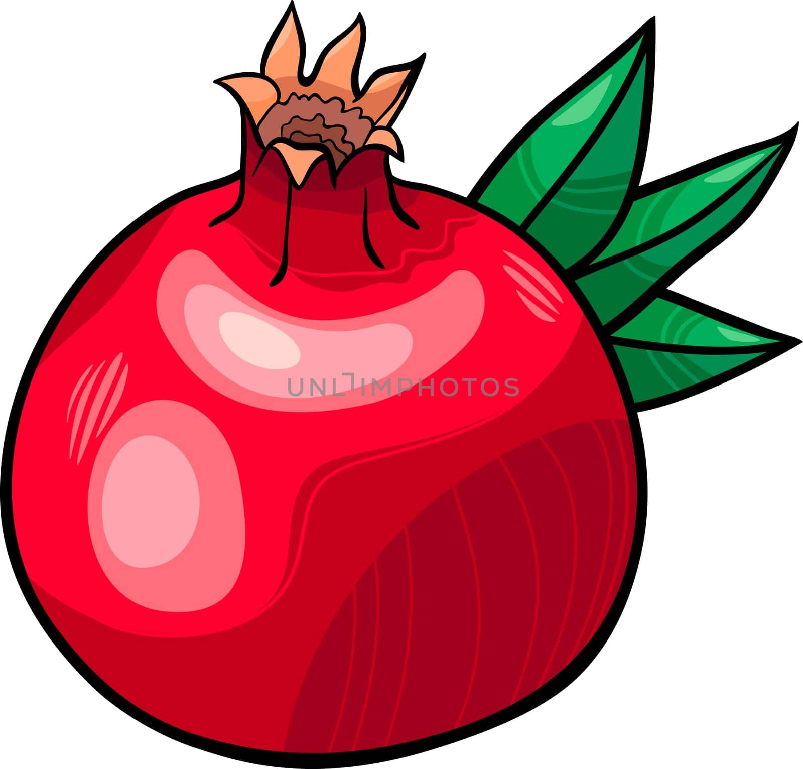 Cartoon Illustration of Pomegranate Fruit Food Object