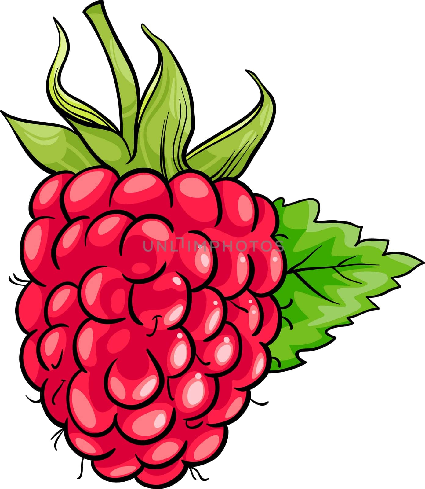 Cartoon Illustration of Raspberry Berry Fruit Food Object