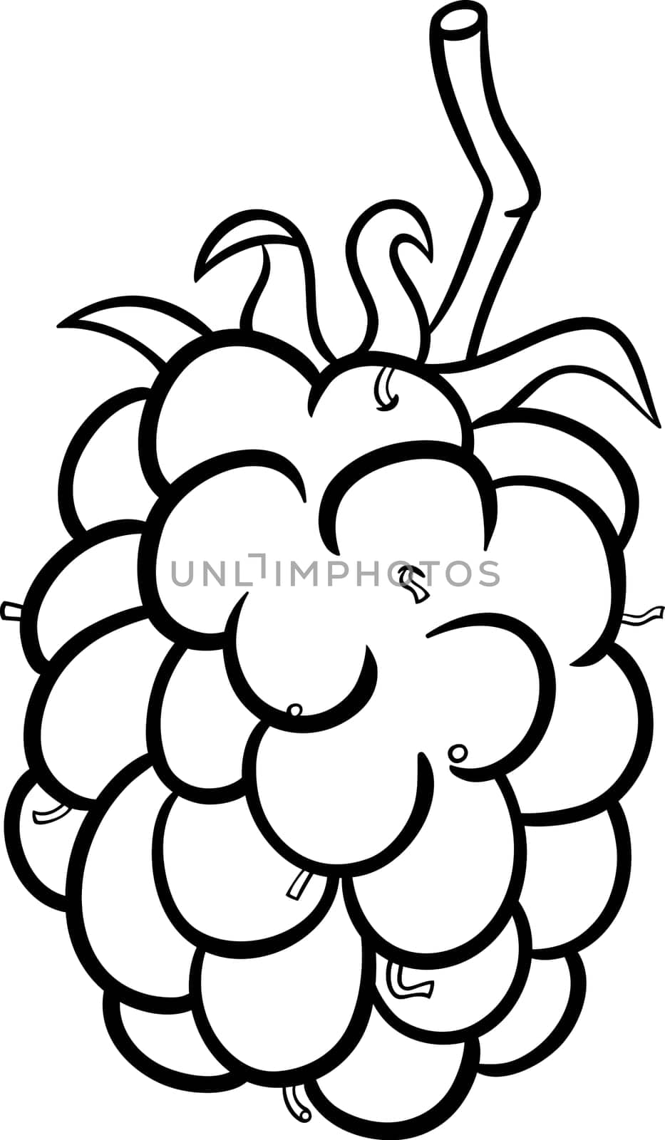 Black and White Cartoon Illustration of Blackberry Berry Fruit Food Object for Coloring Book