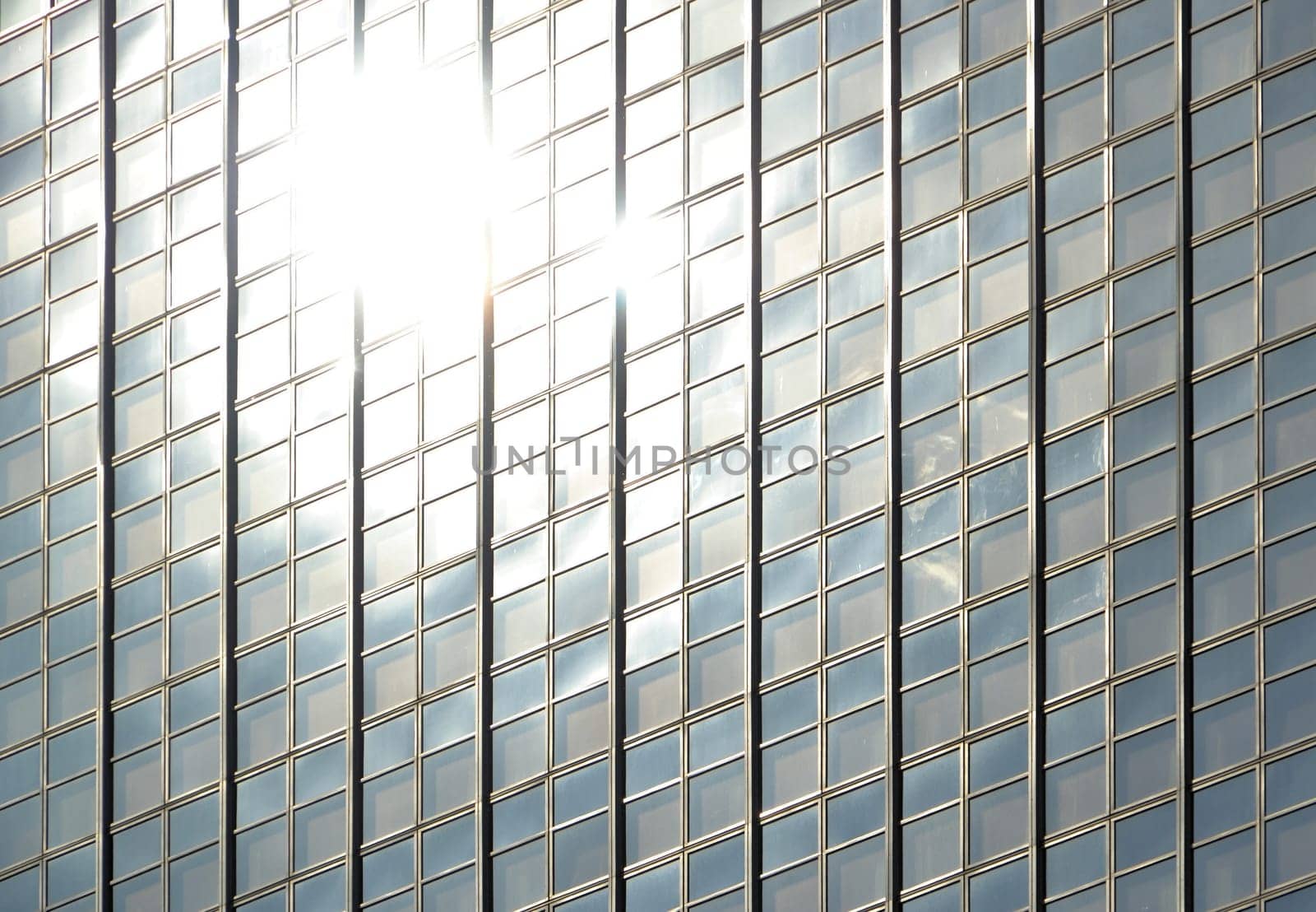 blinded by the sun