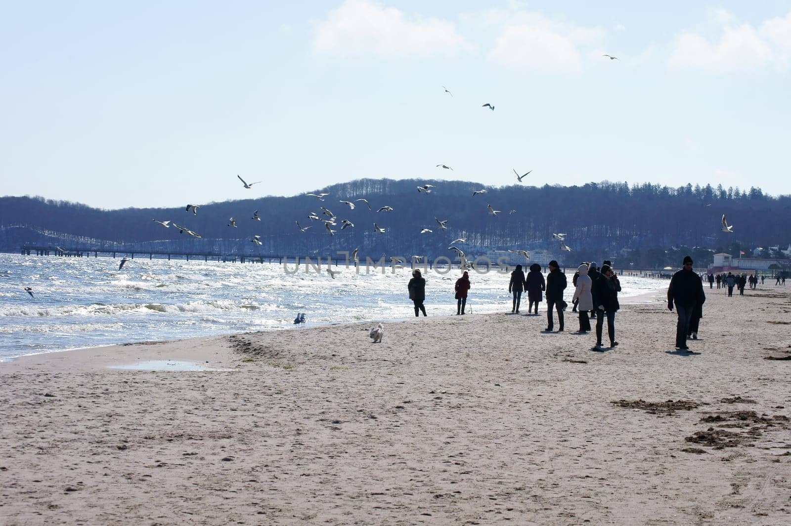 Binz, Mecklenburg  Vorpommern / Deutschland – April 02: Urlauber gehen den Strand des Ostseebades Binz am 02. April 2013 entlang und füttern Möwen.