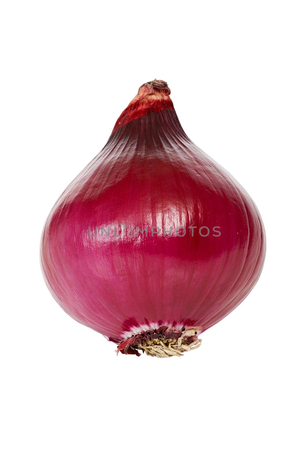 A whole fresh red onion insulated against a white background